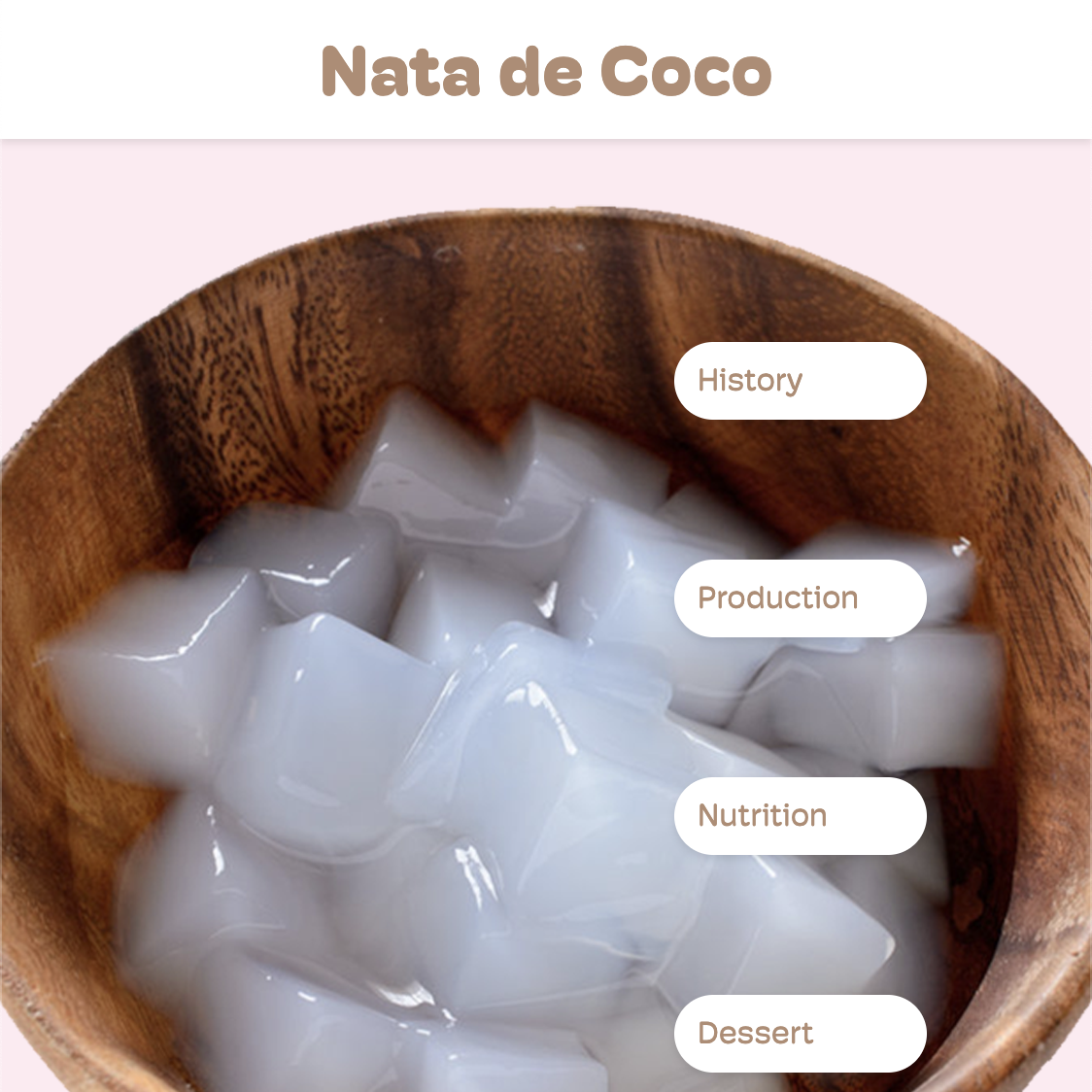 Nata de Coco Project